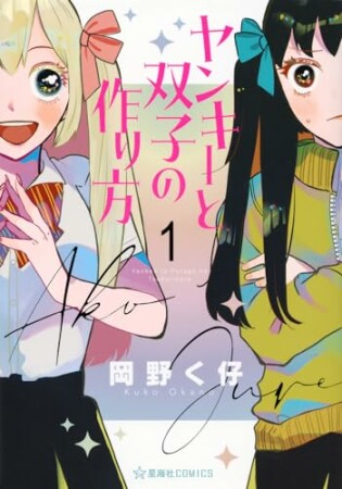 ヤンキーと双子の作り方1巻の表紙