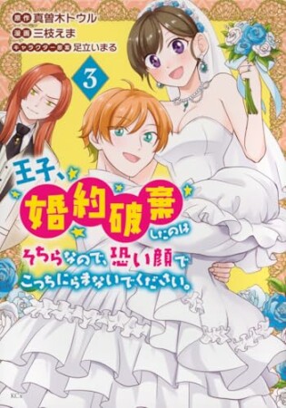 王子、婚約破棄したのはそちらなので、恐い顔でこっちにらまないでください。3巻の表紙