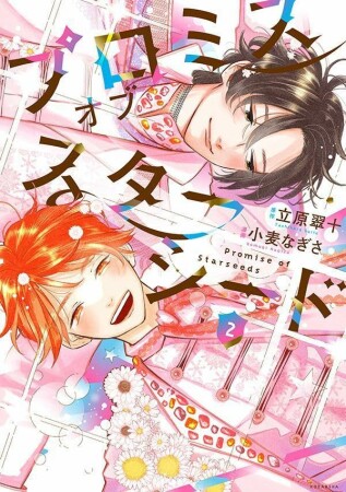 プロミスオブスターシード2巻の表紙