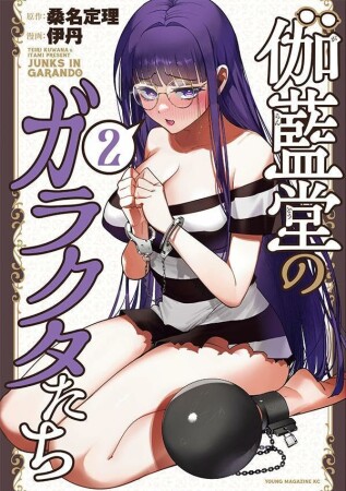 伽藍堂のガラクタたち2巻の表紙