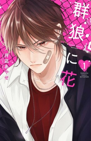 群狼に花　ベツフレプチ1巻の表紙