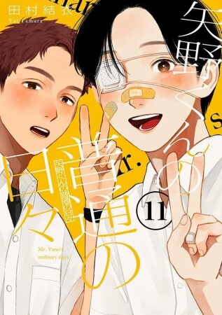 矢野くんの普通の日々11巻の表紙