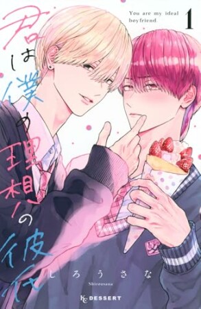 君は僕の理想の彼氏1巻の表紙