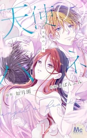 天使のハネ1巻の表紙