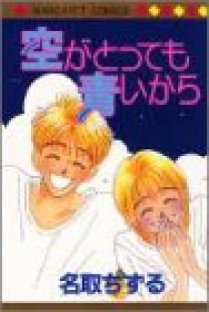 空がとっても青いから1巻の表紙