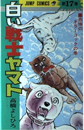 白い戦士ヤマト17巻の表紙