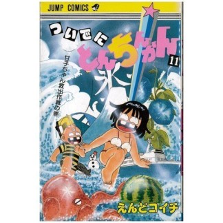 ついでにとんちんかん11巻の表紙