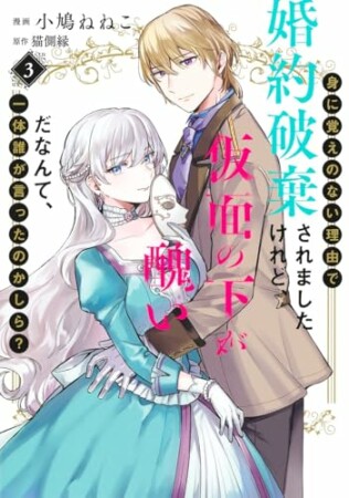 身に覚えのない理由で婚約破棄されましたけれど、仮面の下が醜いだなんて、一体誰が言ったのかしら？【コミックス版】3巻の表紙