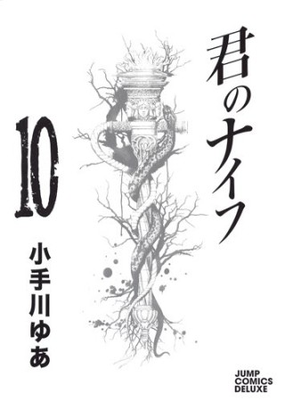 君のナイフ10巻の表紙