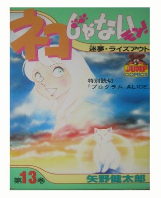 ネコじゃないモン!13巻の表紙