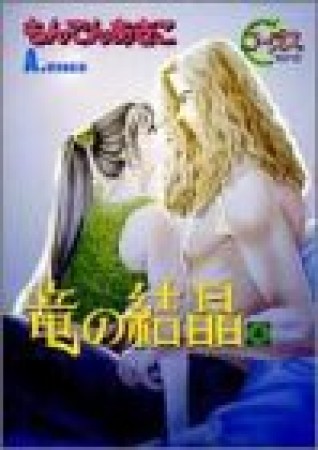 竜の結晶4巻の表紙