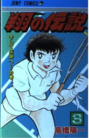 翔の伝説3巻の表紙