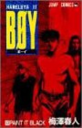 BOY HareluyaII13巻の表紙