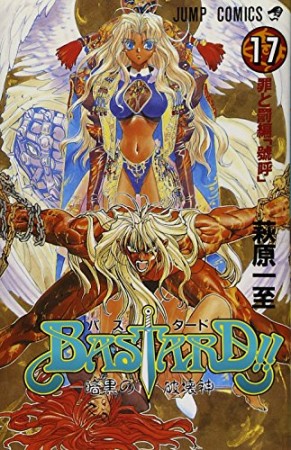 BASTARD!! -暗黒の破壊神-17巻の表紙