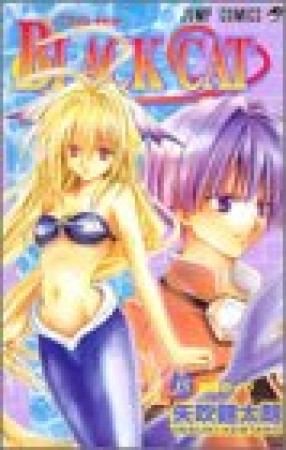 Black cat15巻の表紙