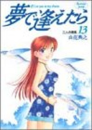 夢で逢えたら13巻の表紙