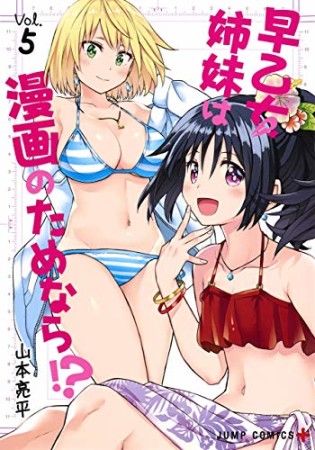 早乙女姉妹は漫画のためなら!?5巻の表紙