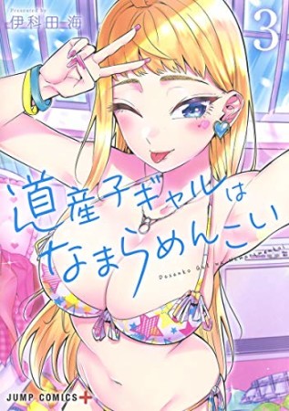 道産子ギャルはなまらめんこい3巻の表紙