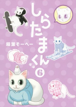 しらたまくん6巻の表紙