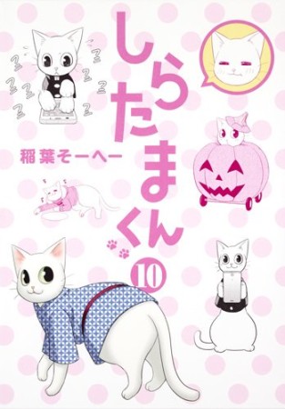 しらたまくん10巻の表紙