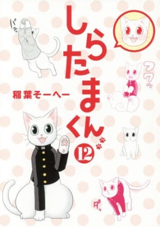 しらたまくん12巻の表紙