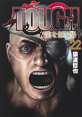 TOUGH 龍を継ぐ男22巻の表紙