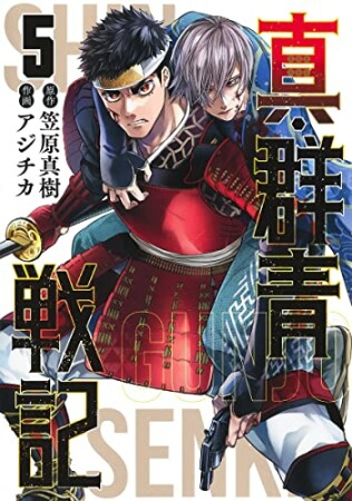 真・群青戦記5巻の表紙