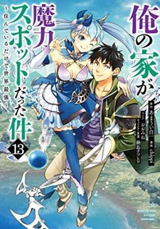 俺の家が魔力スポットだった件 ~住んでいるだけで世界最強~13巻の表紙