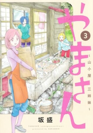 やまさん～山小屋三姉妹～3巻の表紙