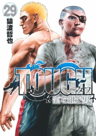 TOUGH 龍を継ぐ男29巻の表紙