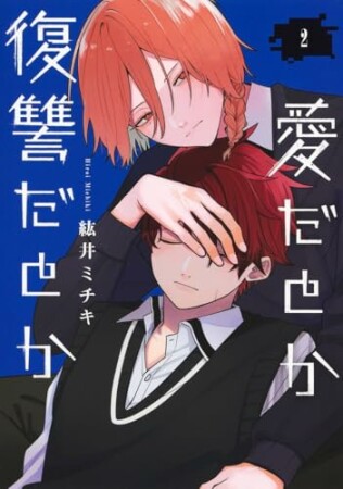 愛だとか復讐だとか2巻の表紙