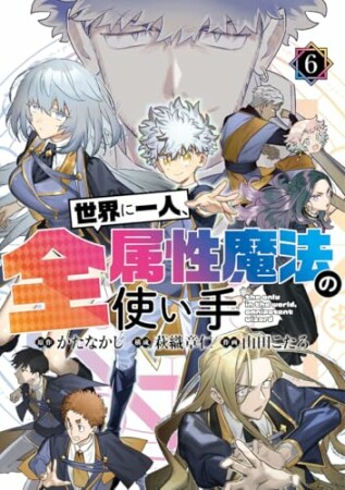 世界に一人、全属性魔法の使い手6巻の表紙