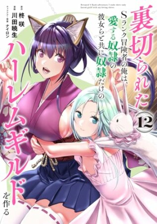 裏切られたSランク冒険者の俺は、愛する奴隷の彼女らと共に奴隷だけのハーレムギルドを作る12巻の表紙