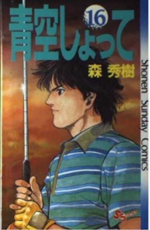 青空しょって16巻の表紙
