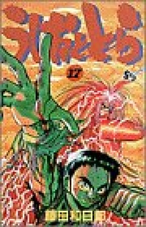 うしおととら17巻の表紙