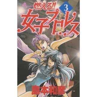 燃える!!女子プロレス3巻の表紙