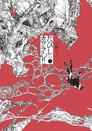 たびしカワラん!!1巻の表紙