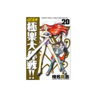 ワイド版 GS ゴーストスイーパー 美神 極楽大作戦!!20巻の表紙