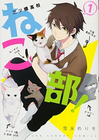 三ツ橋高校ねこ部!1巻の表紙