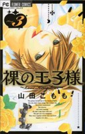 裸の王子様3巻の表紙