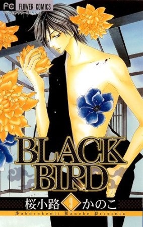 Black bird9巻の表紙