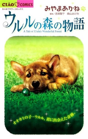 ウルルの森の物語1巻の表紙