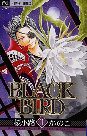 Black bird11巻の表紙