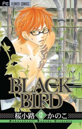 Black bird12巻の表紙