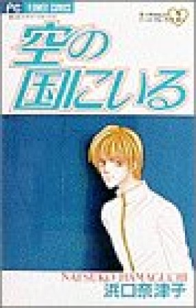 空の国にいる1巻の表紙
