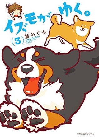 イズモがゆく。3巻の表紙