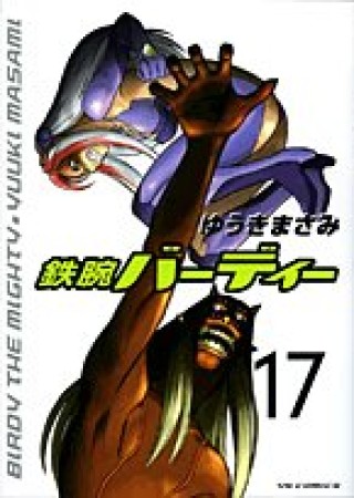 鉄腕バーディー17巻の表紙