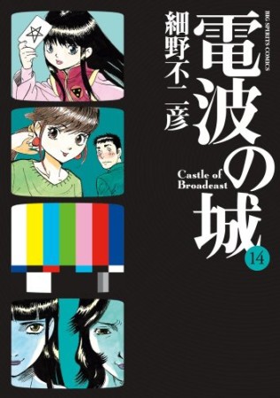 電波の城14巻の表紙
