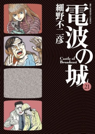 電波の城21巻の表紙