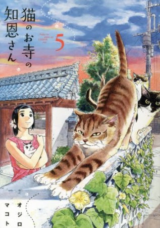 猫のお寺の知恩さん5巻の表紙